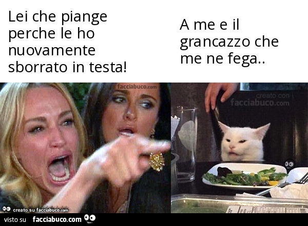 Lei che piange perche le ho nuovamente sborrato in testa! . A me e il grancazzo che me ne fega