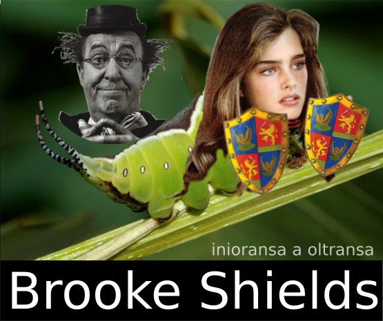 Brooke Shields
