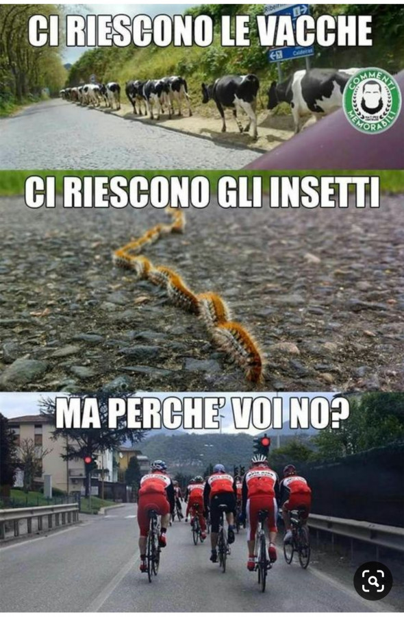 veira5e0d0-ciclisti-invadenti-e-vero-i-ciclisti-quando-sono-in-gruppo-si-trasformano_a.jpg