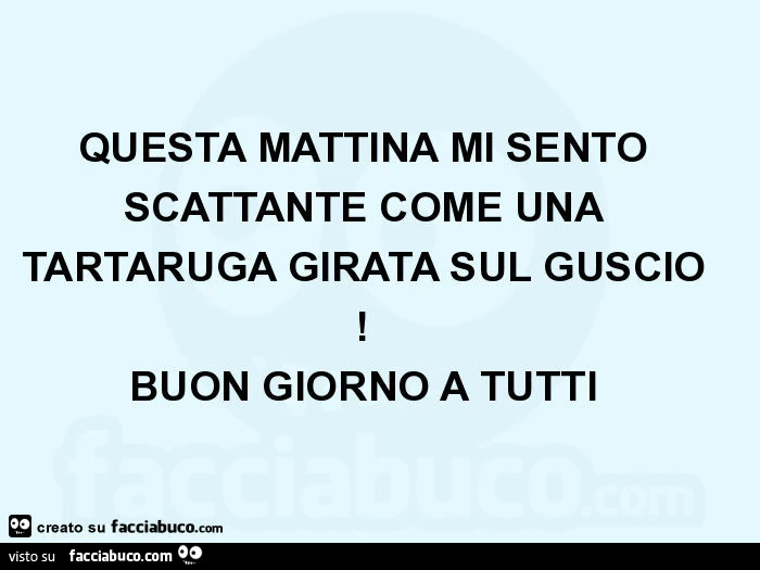 Questa mattina mi sento scattante come una tartaruga girata sul guscio! Buon giorno a tutti