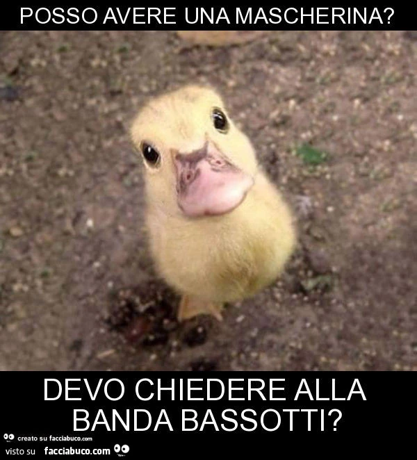 Posso avere una mascherina? Devo chiedere alla banda bassotti?