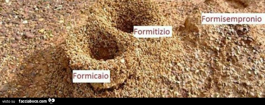Formicaio