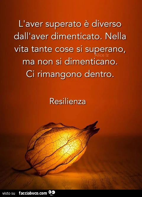 L'aver superato è diverso dall'aver dimenticato. Nella vita tante cose si superano, ma non si dimenticano. Ci rimangono dentro