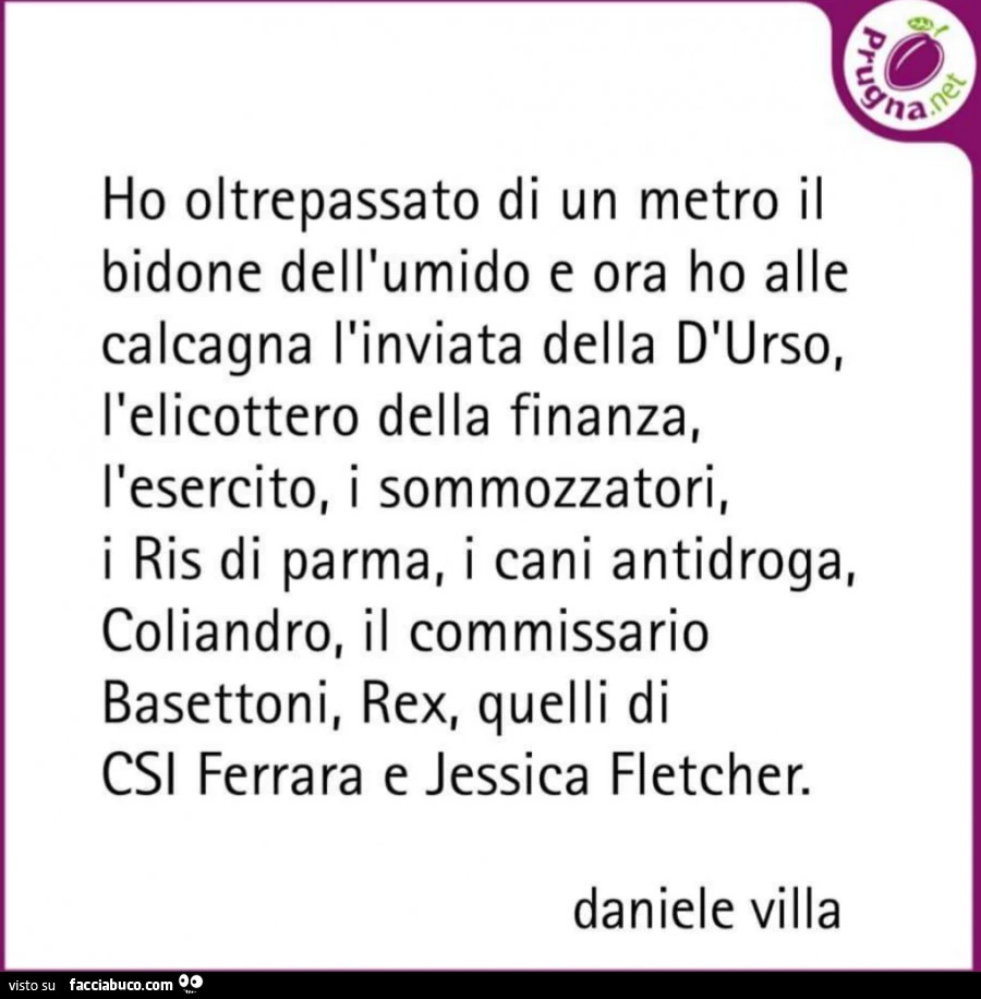 Ho oltrepassato di un metro il bidone dell'umido e ora ho alle calcagna l'inviata della d'urso, l'elicottero della finanza, l'esercito, i sommozzatori, i ris di parma, i cani antidroga, coliandro, il commissario basettoni, rex