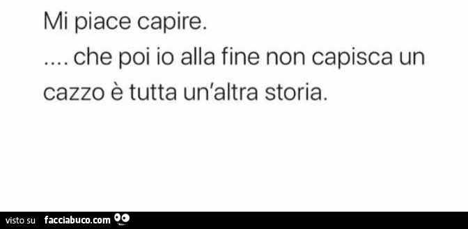 Mi piace capire. Che poi io alla fine non capisca un cazzo è tutta un'altra storia