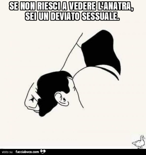 Se non riesci a vedere l'anatra, sei un deviato sessuale