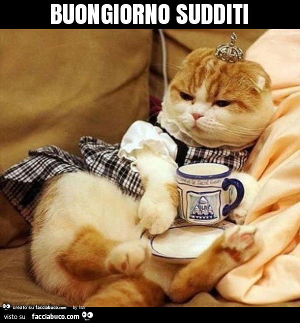 Buongiorno sudditi