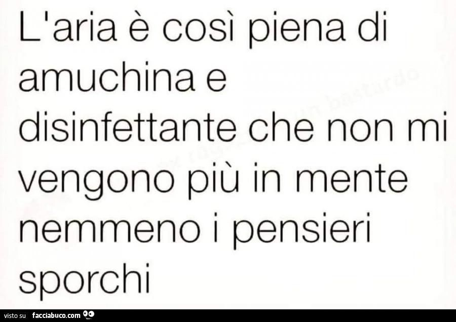 L'aria è così piena di amuchina e disinfettante che non mi vengono più in mente nemmeno i pensieri sporchi