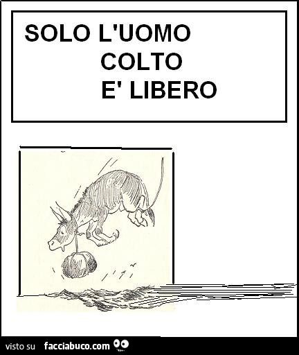 Solo l'uomo colto è libero