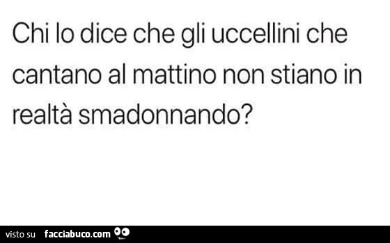 Chi lo dice che gli uccellini che cantano al mattino non stiano in realtà smadonnando?