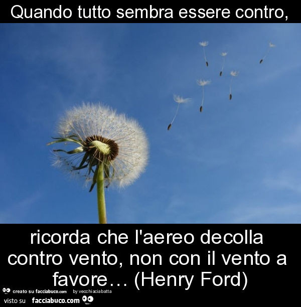 Quando tutto sembra essere contro, ricorda che l'aereo decolla contro vento, non con il vento a favore… (henry ford)