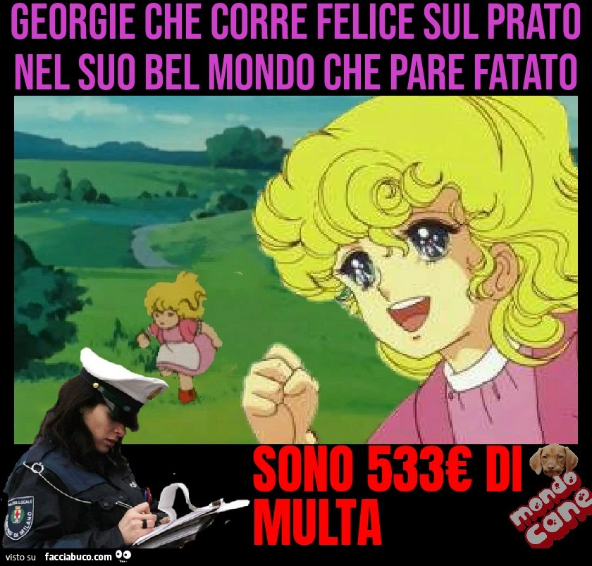 Georgie multa