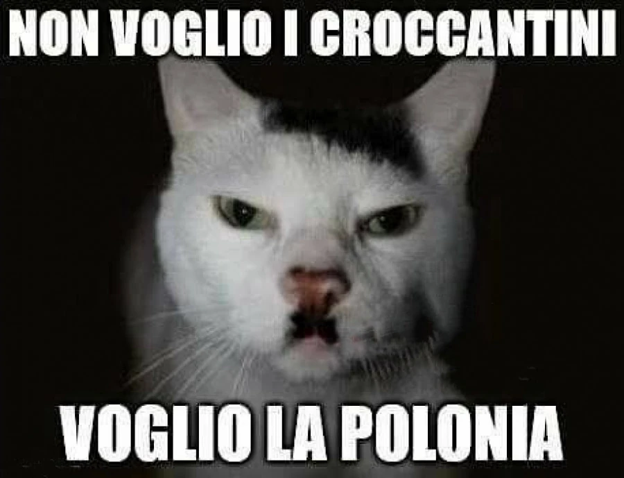 Non voglio i croccantini, voglio la Polonia
