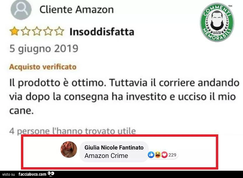Il prodotto è ottimo. Tuttavia il corriere andando via dopo la consegna ha investito e ucciso il mio cane. Amazon crime