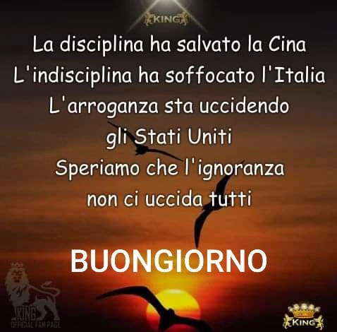 Io speriamo che me la cavo