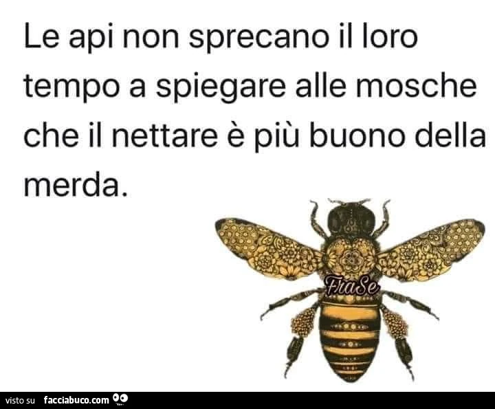 Le api non sprecano il loro tempo a spiegare alle mosche che il nettare è più buono della merda