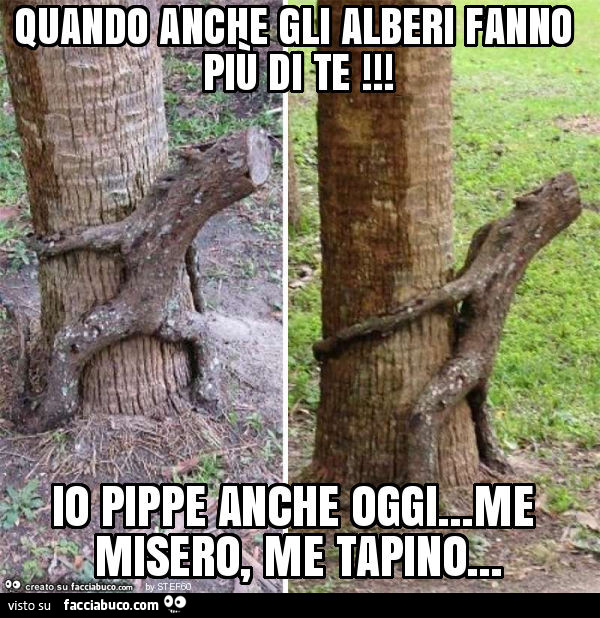 Quando anche gli alberi fanno più di te! Io pippe anche oggi… me misero, me tapino