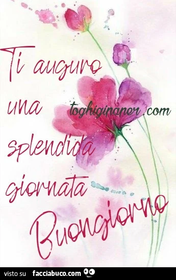 Ti auguro una splendida giornata. Buongiorno