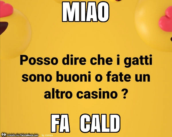 Miao fa cald