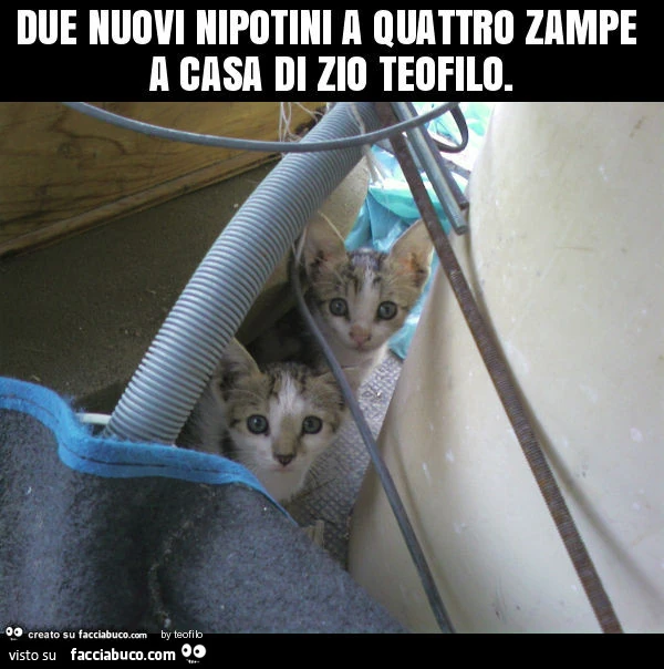 Due nuovi nipotini a quattro zampe a casa di zio teofilo