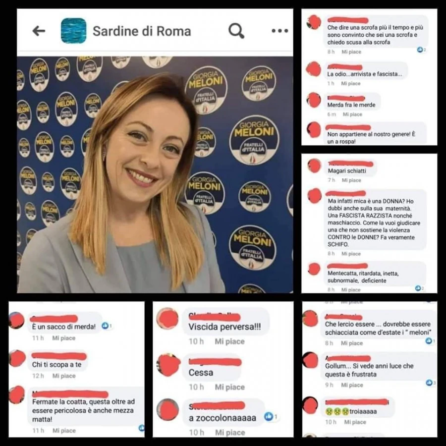 Alcune frasi delle sardine rivolte a giorgia meloni quelli che sono contro il linguaggio dell'odio