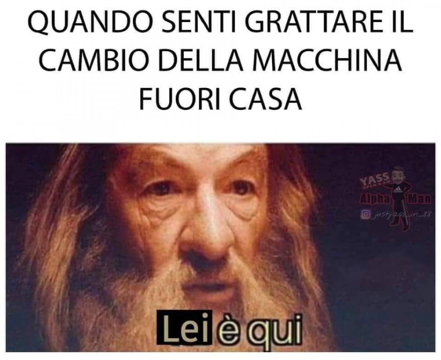 Lei è qui