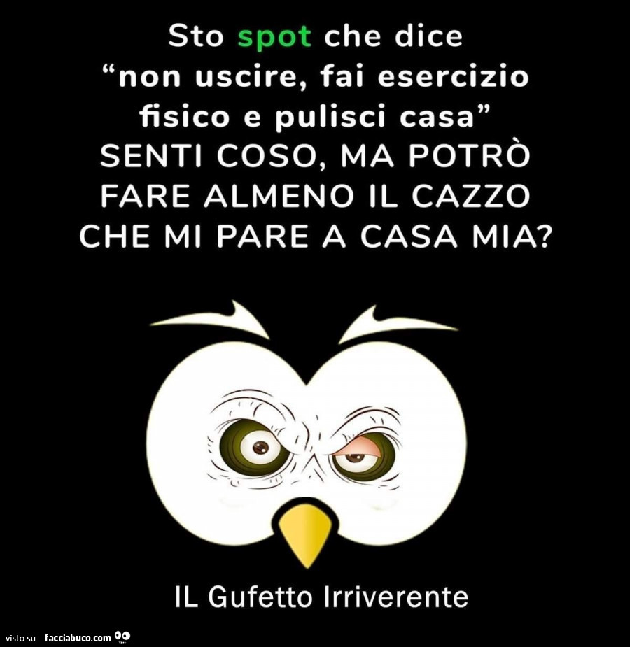 Sto spot che dice non uscire, fai esercizio fisico e pulisci casa senti coso, ma potrò fare almeno il cazzo che mi pare a casa mia? Il gufetto irriverente