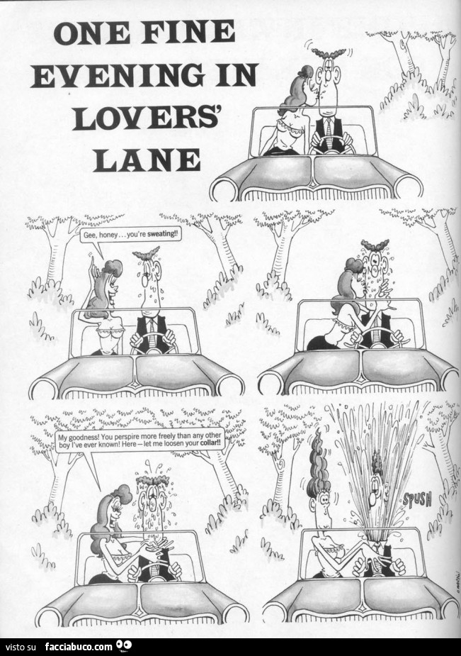 One fine evening in lovers lane