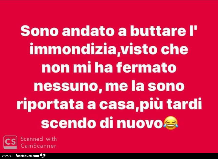 Sono andato a buttare l'immondizia, visto che non mi ha fermato nessuno, me la sono riportata a casa, più tardi scendo di nuovo