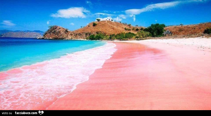 Pink Beach, la spiaggia rosa di Komodo. Indonesia