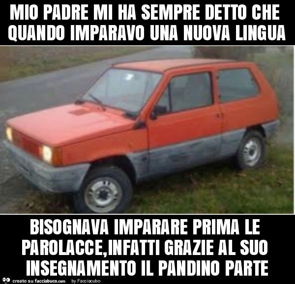 Mio padre mi ha sempre detto che quando imparavo una nuova lingua bisognava imparare prima le parolacce, infatti grazie al suo insegnamento il pandino parte