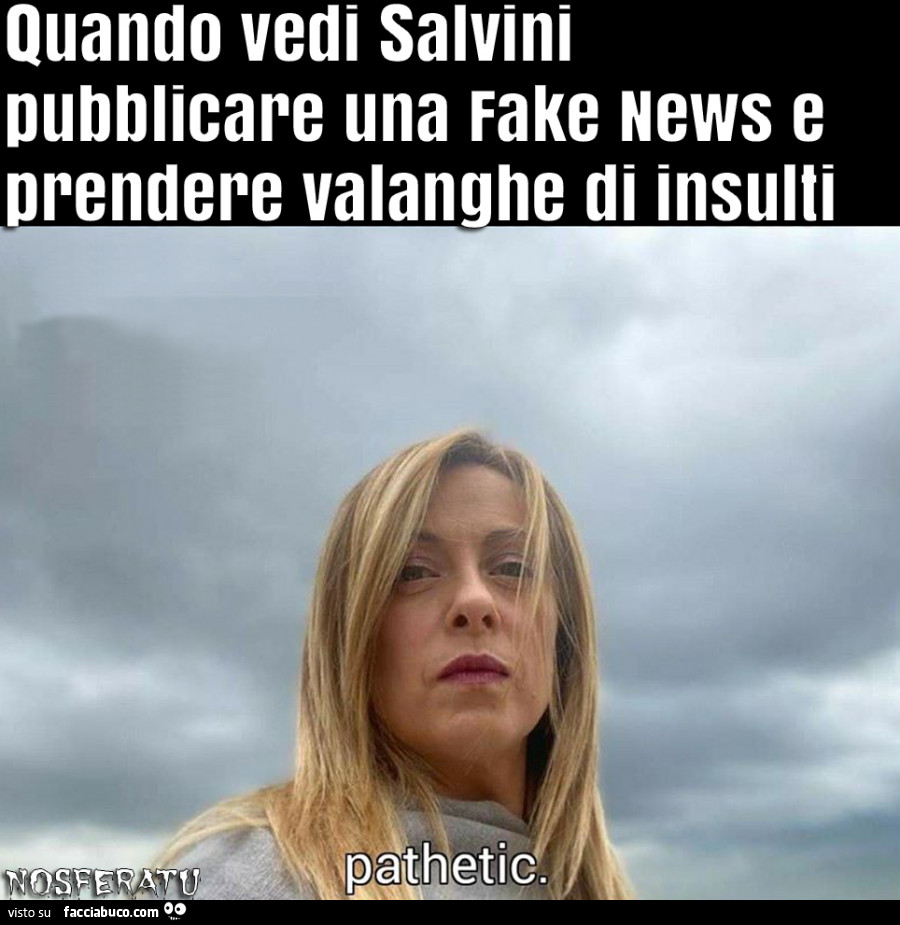 Quando vedi Salvini