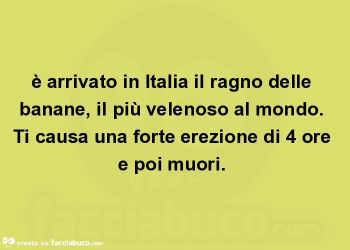 È arrivato in italia il ragno delle banane, il più velenoso al mondo. Ti causa una forte erezione di 4 ore e poi muori