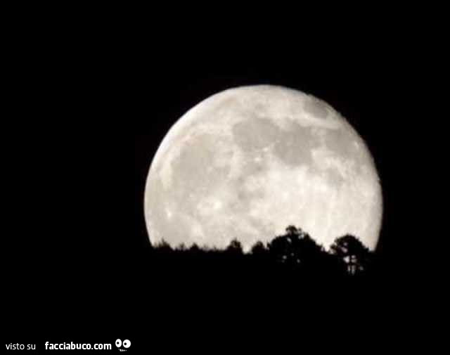 Luna piena