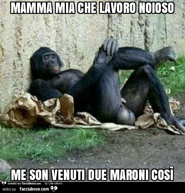 Mamma mia che lavoro noioso me son venuti due maroni così