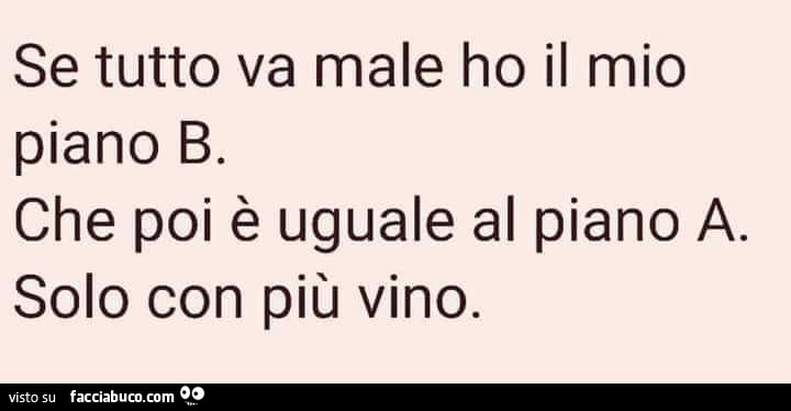 Se tutto va male ho il mio piano b. Che poi è uguale al piano a solo con più vino