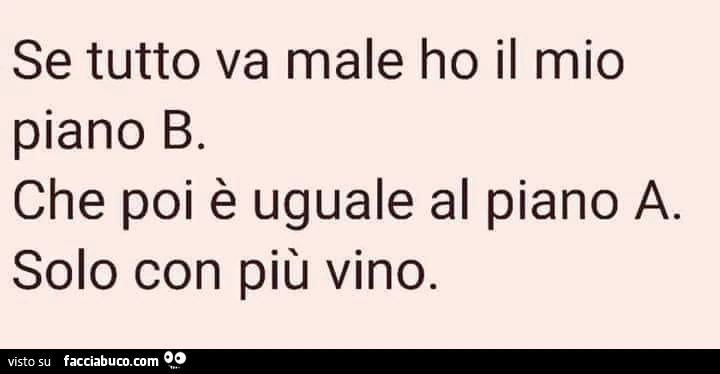 Se tutto va male ho il mio piano b. Che poi è uguale al piano a solo con più vino