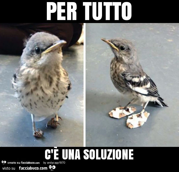 Per tutto c'è una soluzione