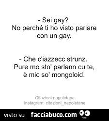 Sei gay? No perché ti ho visto parlare con un gay. Che c'iazzecc strunz. Pure mo stò parlann cu te, è mic sò mongoloid