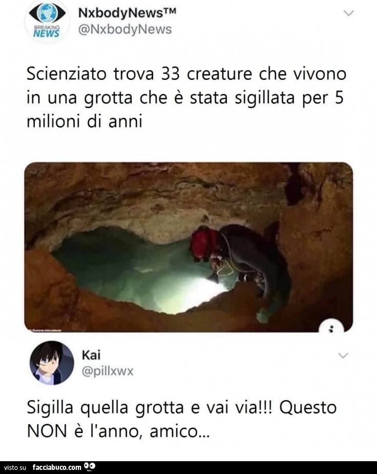 Vaccata