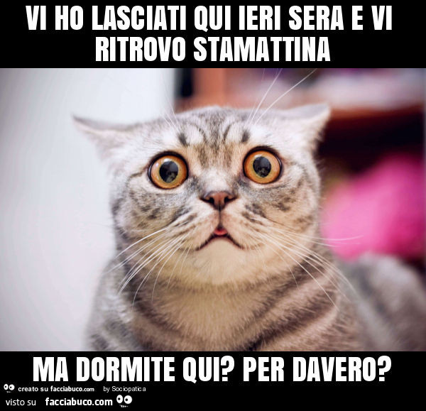 Vi ho lasciati qui ieri sera e vi ritrovo stamattina ma dormite qui? Per davero?