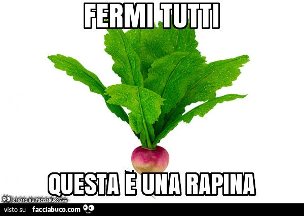 Fermi tutti questa è una rapina