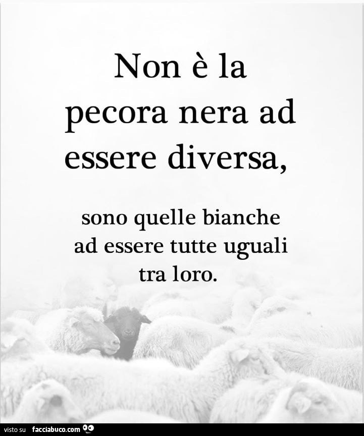 Non è la pecora nera ad essere diversa, sono quelle bianche ad essere tutte uguali tra loro