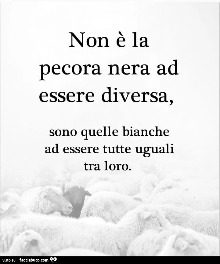 Non è la pecora nera ad essere diversa, sono quelle bianche ad essere tutte uguali tra loro