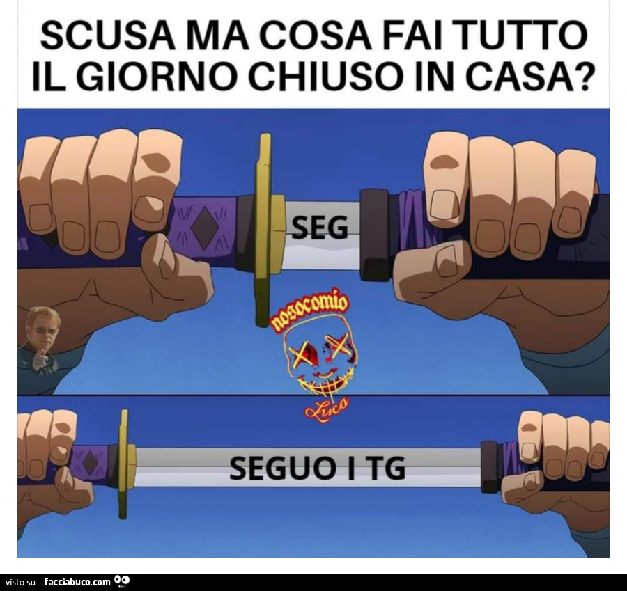 Scusa ma cosa fai tutto il giorno chiuso in casa? Seguo i TG