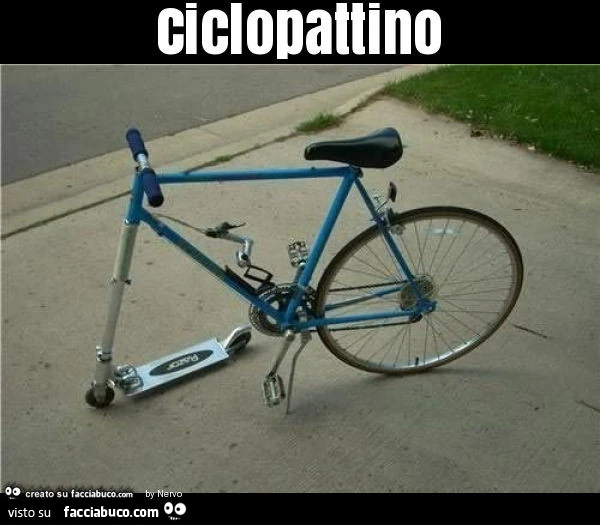Ciclopattino