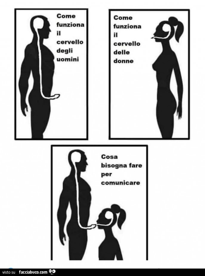 Cervello dell'uomo