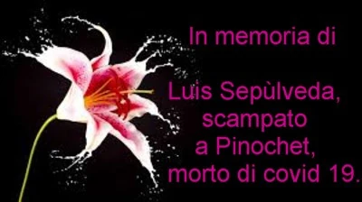 Luis Sepรนlveda / onore