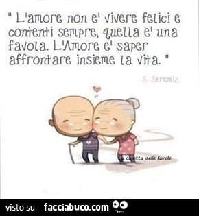 L'amore non è: e vissero felici e contenti. Quella è una favola. L'amore è saper affrontare insieme la vita