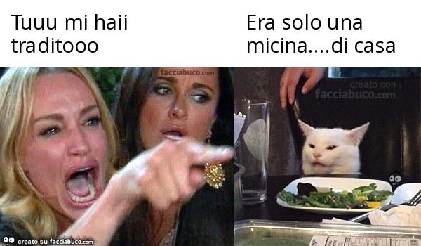 Tuuu mi haii traditooo. Era solo una micina&hellip; di casa